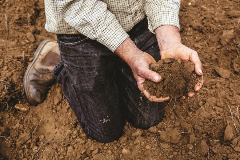 В Беларуси делают пригодными для сельского хозяйства загрязнённые земли